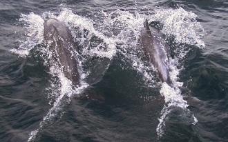 ZWUKSO COLOR CUP 2016