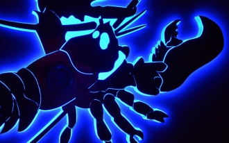 niebieski kobaltowy BLUEFEX, foto A.M.