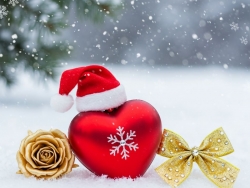 PIGMENTY ZWUKSO 2025